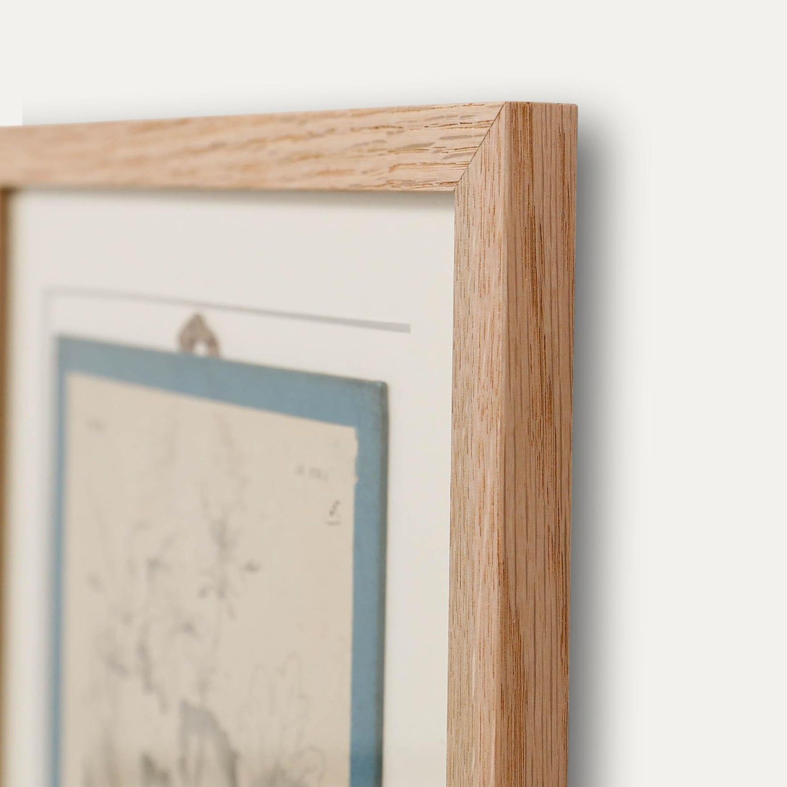 Native Flora Of Europe Framed 19th Century Lithograph, Chelidonium Majus photo 100.0