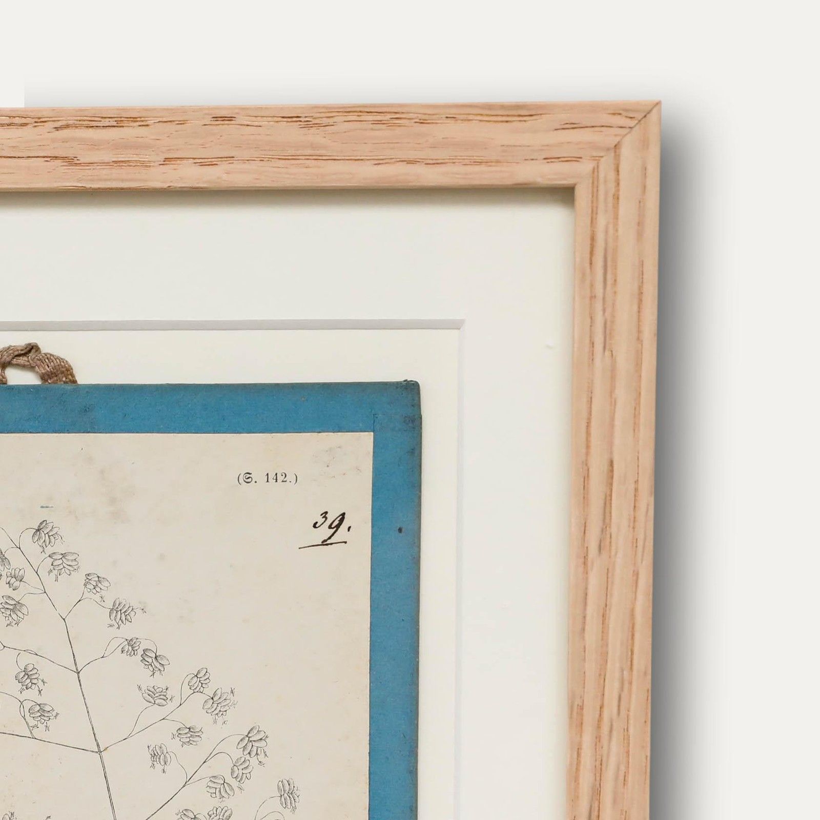 Native Flora Of Europe Framed 19th Century Lithograph, Briza Media photo 100.0