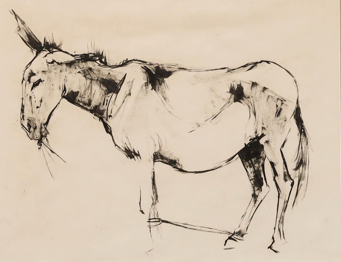 Angela Douglas Conner (B.1935) Mid 20th Century Pen And Ink Drawing, Donkey photo furniture