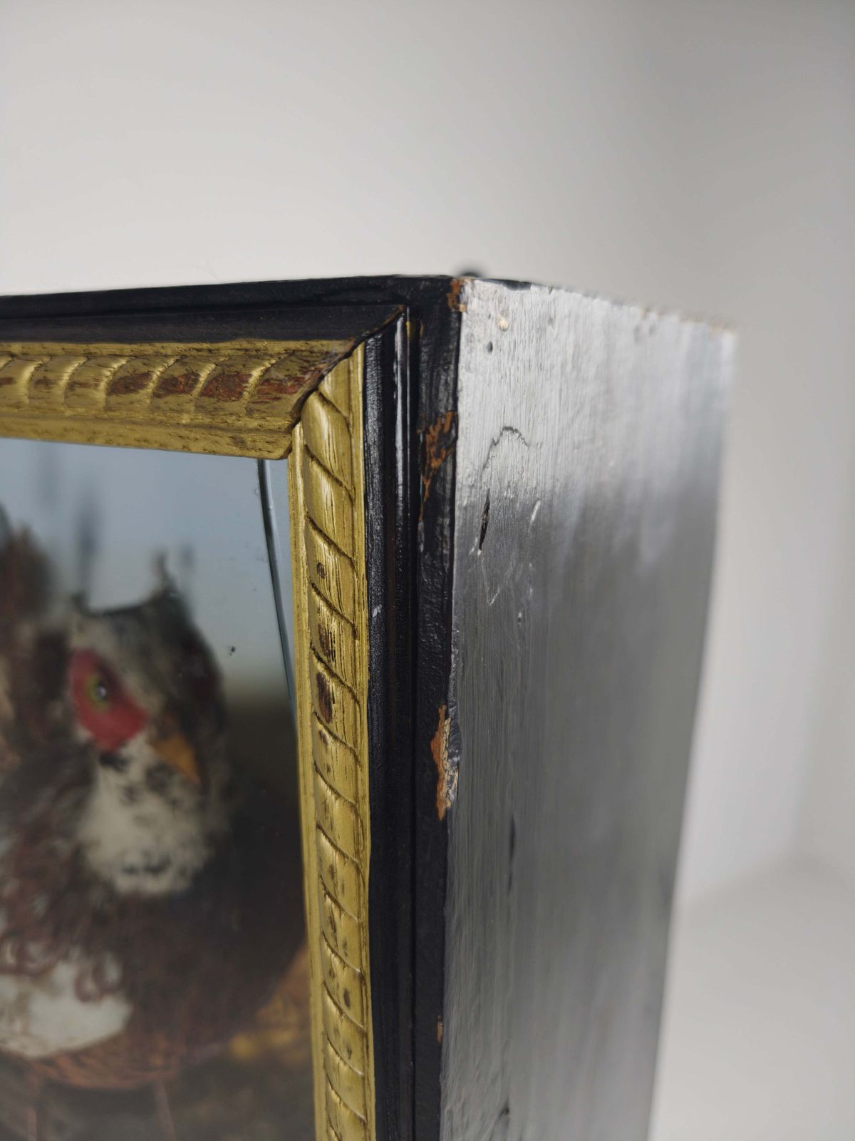 Fine 19th Century Cased Taxidermy By James Hutchings – Two Pheasants With Decorative Background photo Home Decor