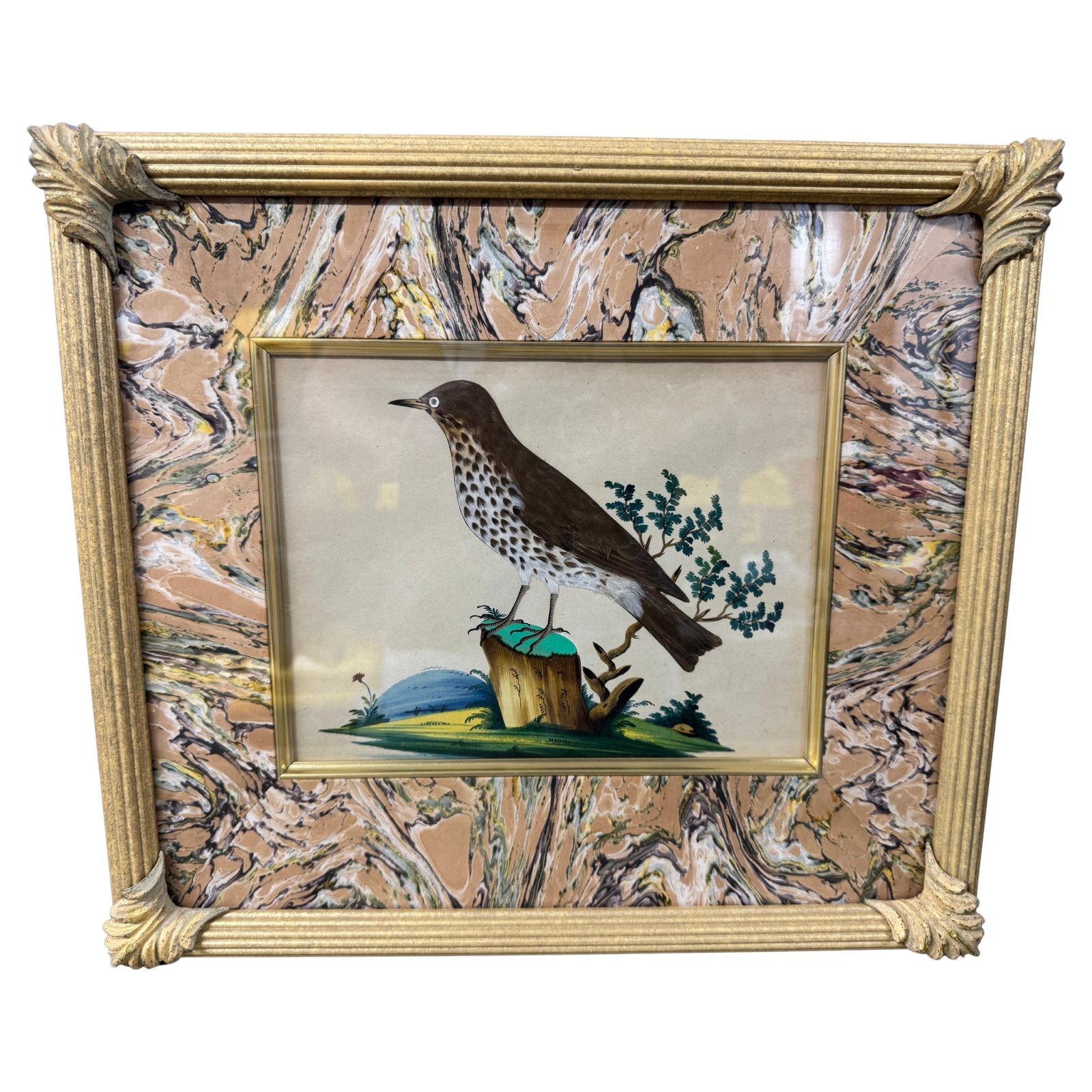 Set Of 7 Antique Watercolour & Feather Bird Pictures