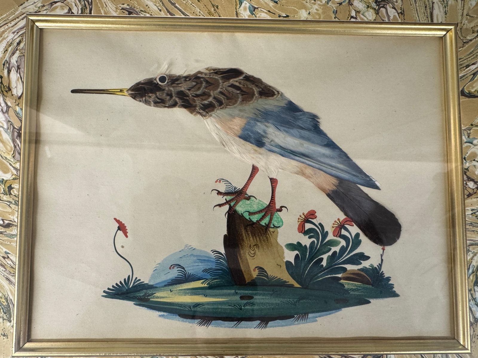 photo vintage Set Of 7 Antique Watercolour & Feather Bird Pictures
