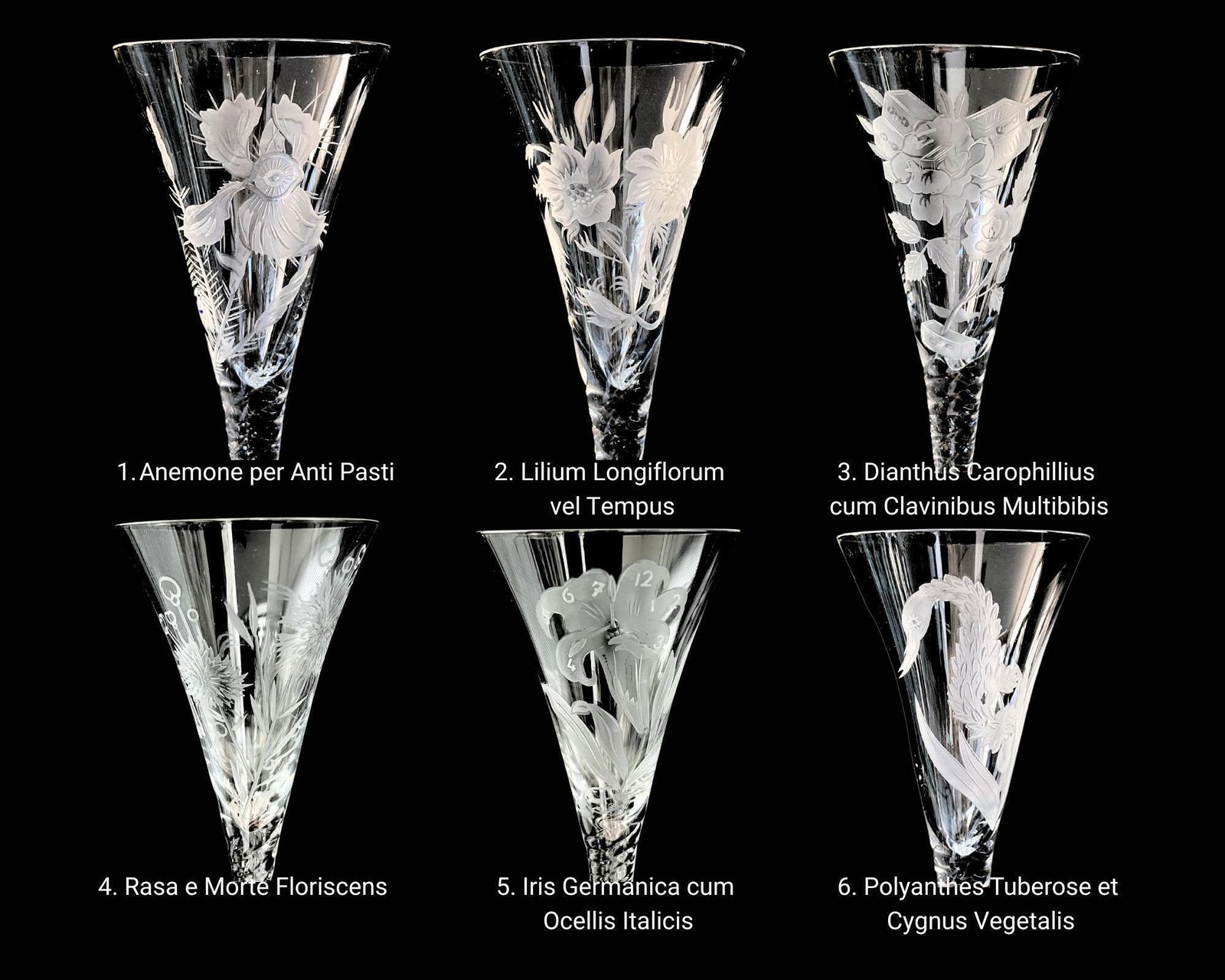Salvador Dali Champagne Glazen | 6 Stuks | Hommage Dalí 1972 | Gesigneerd, Certificaat, Presentatiebox photo furniture