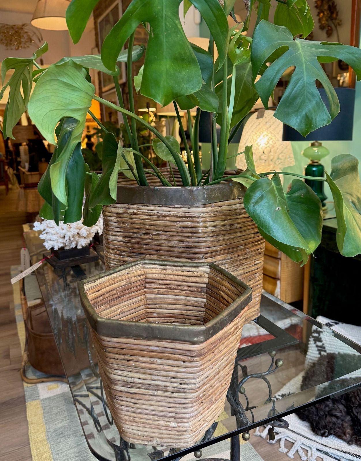 An Italian 1970s Woven Pencil Reed Hexagonal Bamboo Planter With Brass Top photo furniture