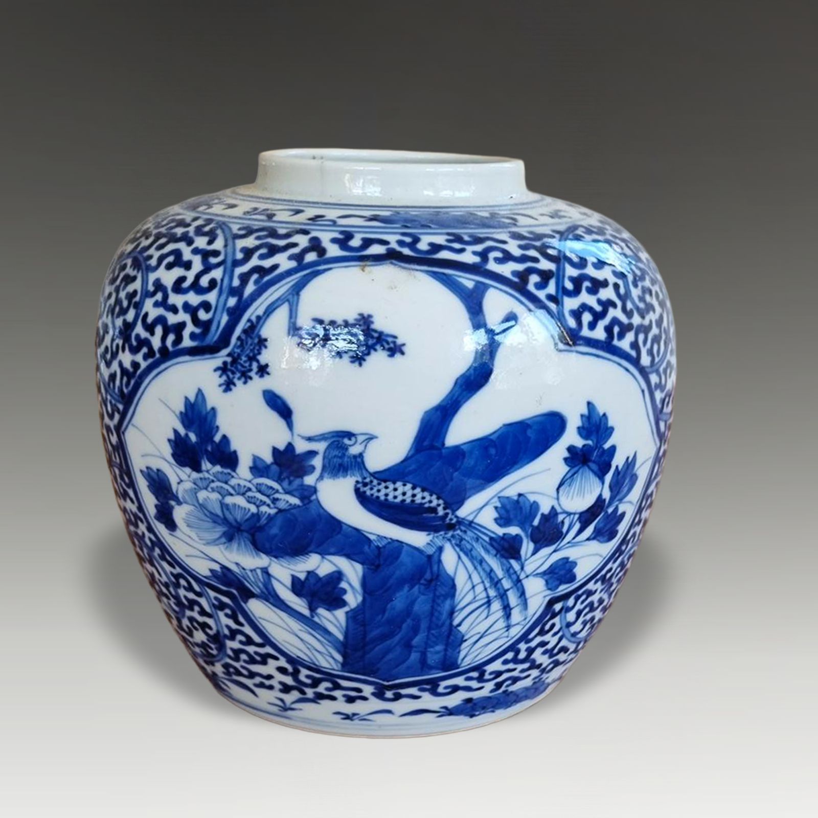 Chinese Kangxi Revival 19th C Decorative Ginger Jar Superb Quality 16cm (6.5") H