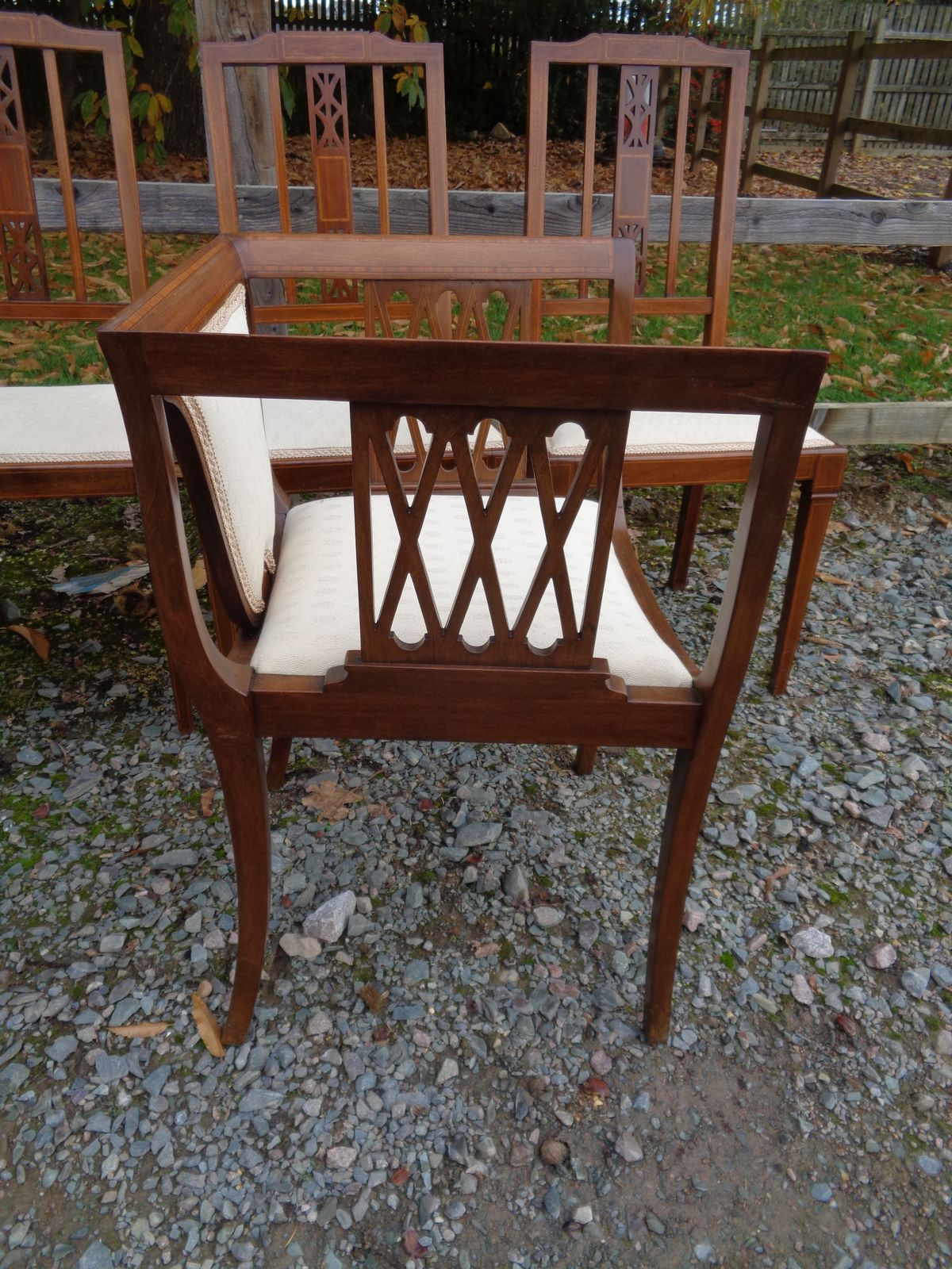 Furniture 6 Edwardian Mahogany Salon Chairs   Gentleman's & Ladies + 4 photo