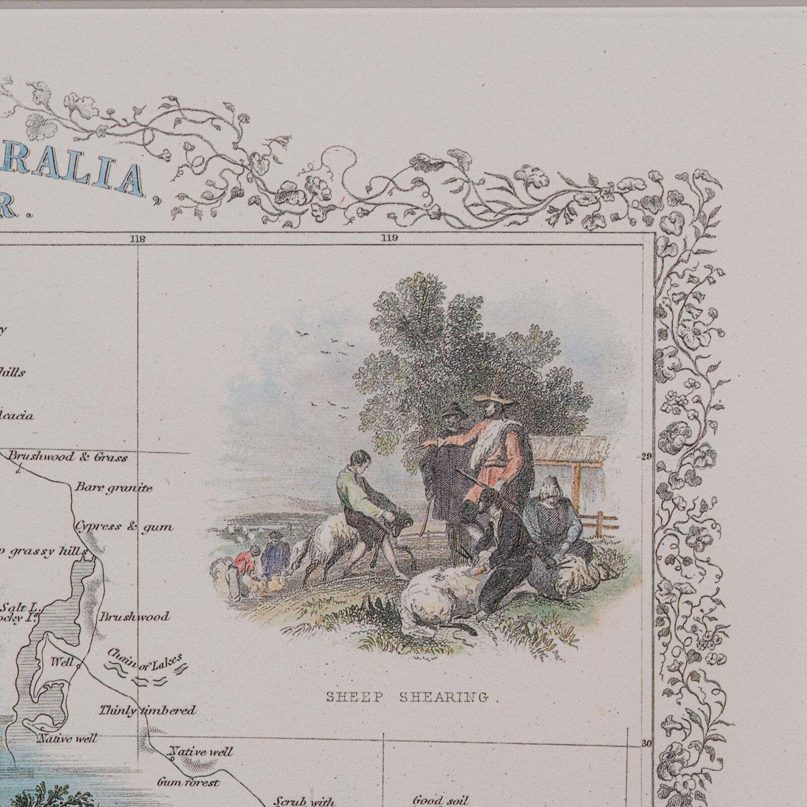 Vintage Western Australia Map, Framed Print, Swan River, John Tallis Cartography photo vinterior