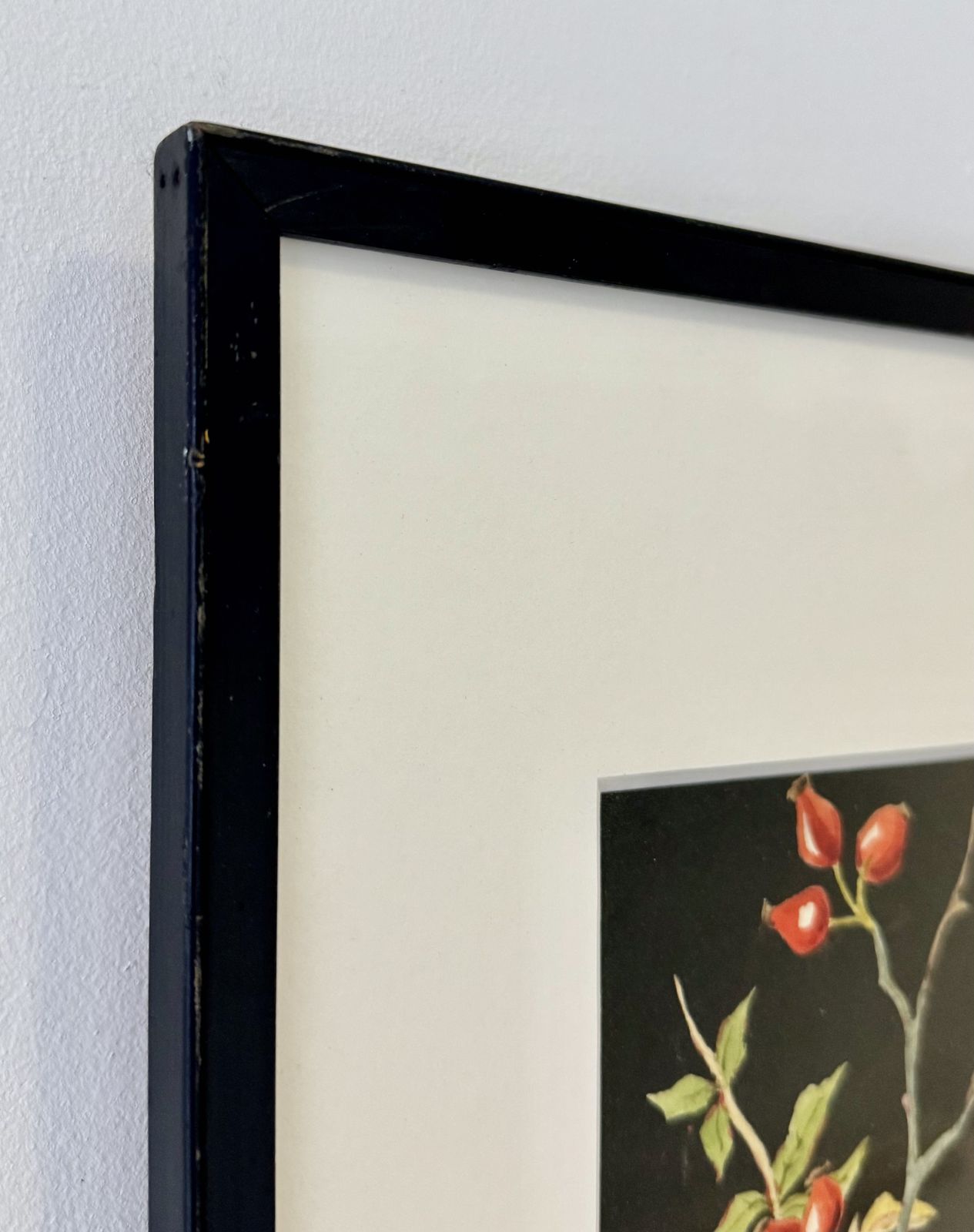 Autumn Still Life Watercolour Painting With Black Frame photo buy