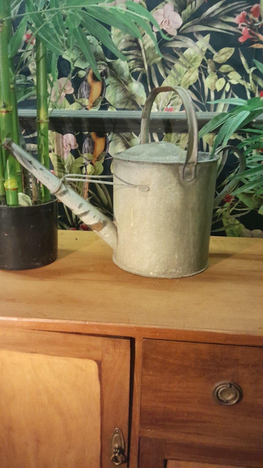 photo for sale Vintage Galvanized Watering Can Two Gallon 40cm Tall Galvanised Metal With Rose