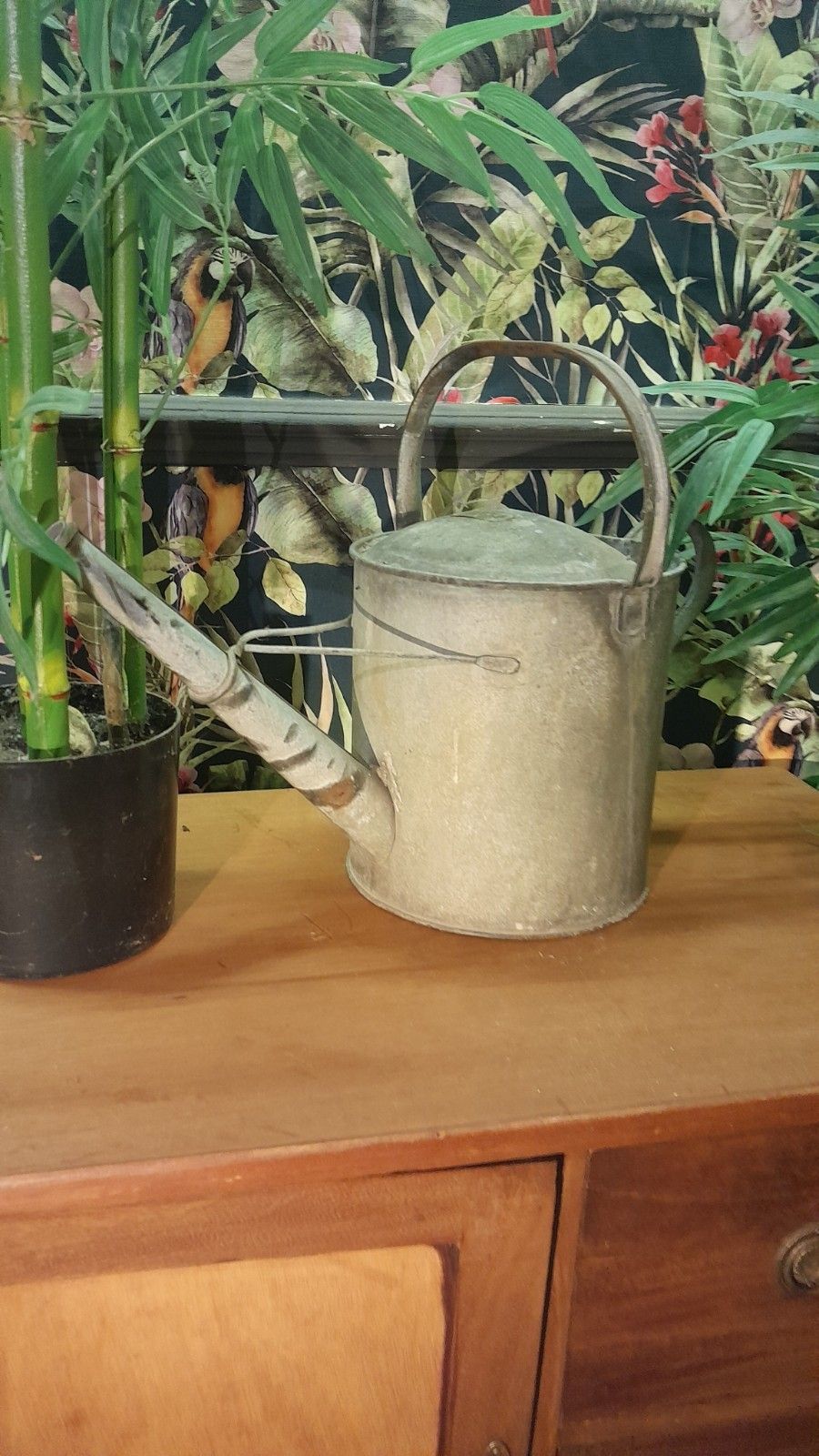 Garden Decor Vintage Galvanized Watering Can Two Gallon 40cm Tall Galvanised Metal With Rose photo