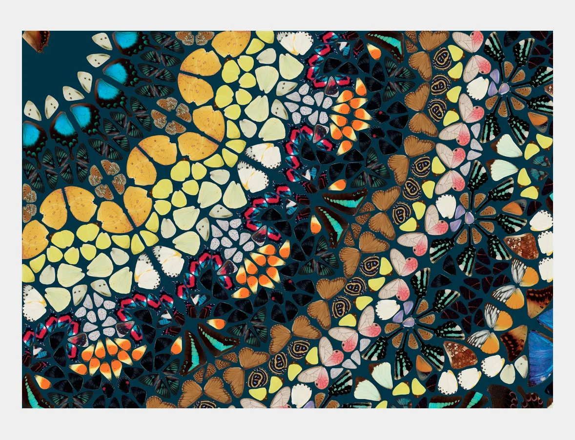 Damien Hirst Psychedelic From The Kaleidoscopes, H18 3 photo for sale