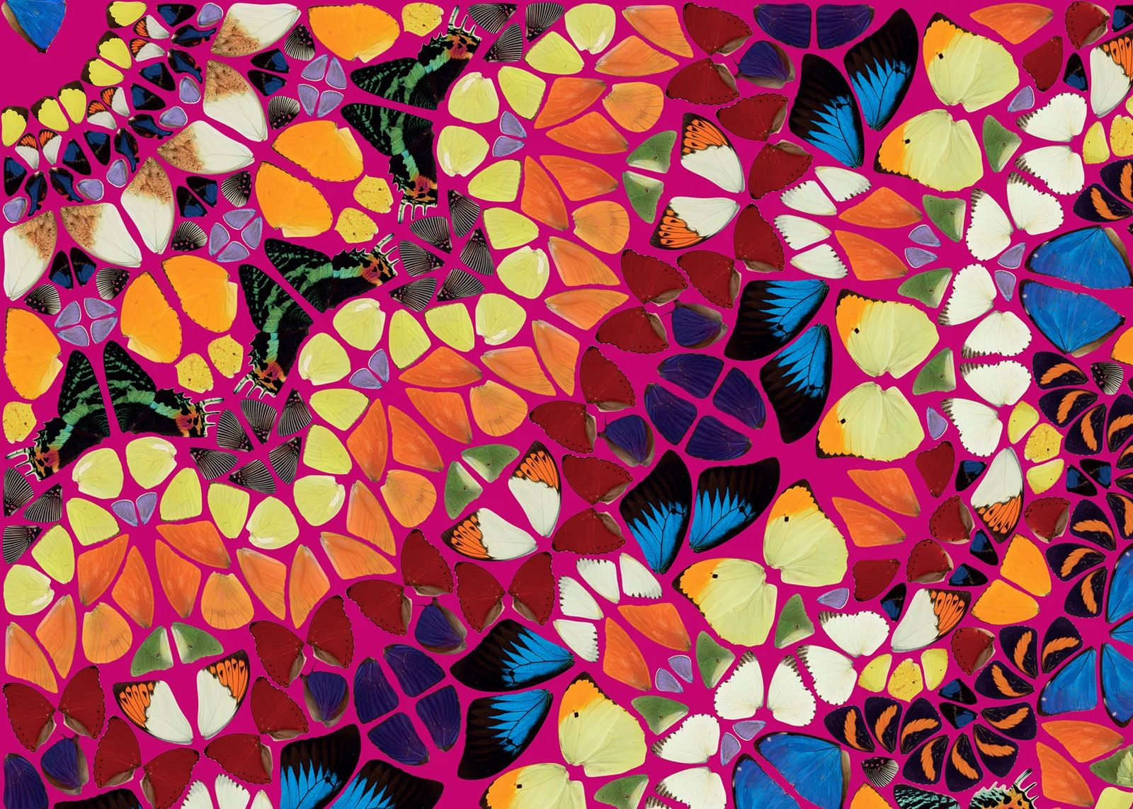 Damien Hirst Harlequin From The Kaleidoscopes H18 1 photo furniture