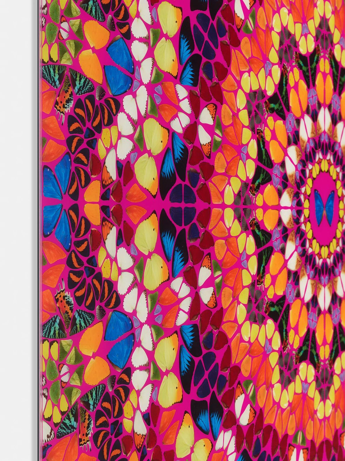 Damien Hirst Harlequin From The Kaleidoscopes H18 1 photo for sale