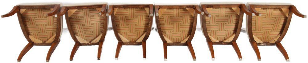 Antique Biedermeier Chairs, Vienna, Austria, 1820s 1830s, Set Of 6 photo vinterior