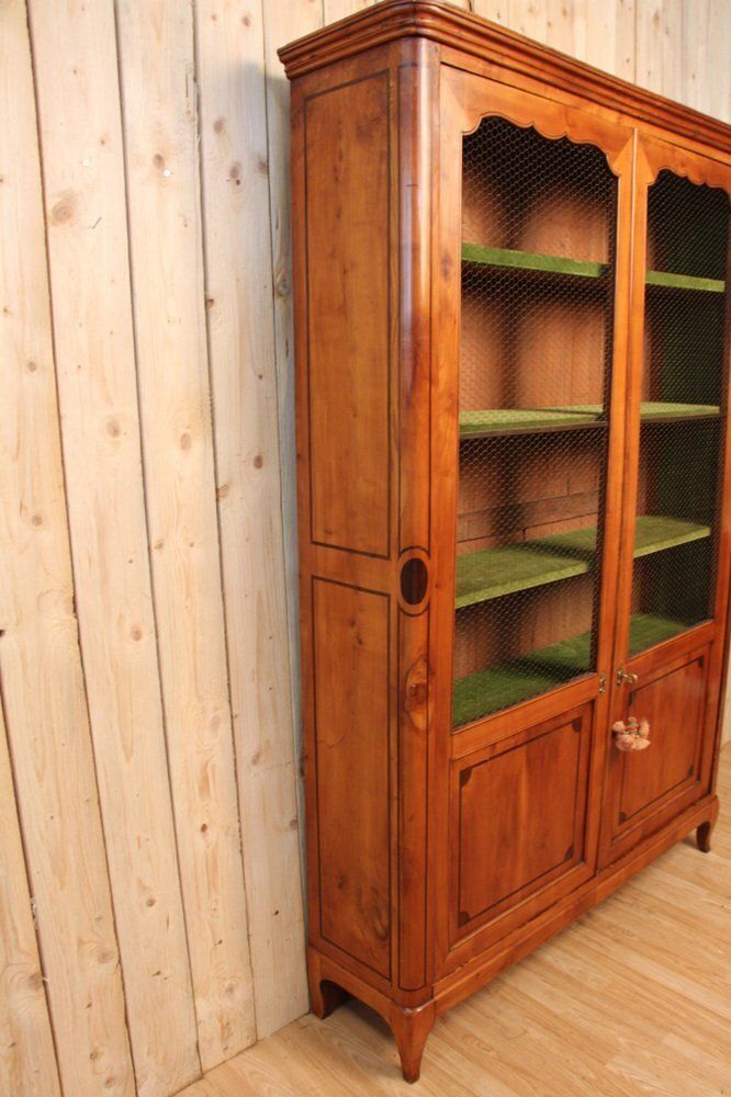 Antique Bookcase In Cherry Wood, 1800s photo for sale