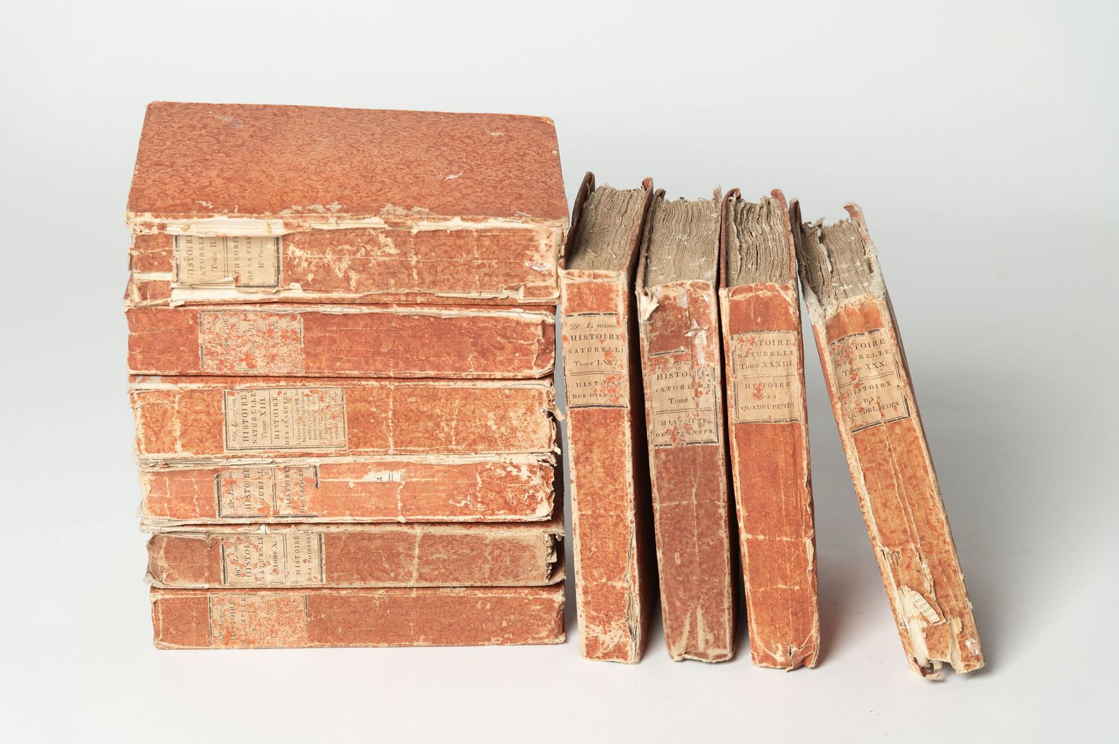 10 Antique French Books, 1800s