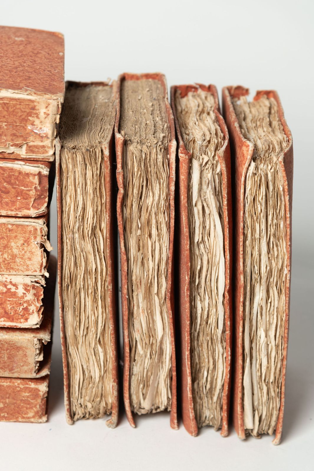 10 Antique French Books, 1800s photo Home Decor