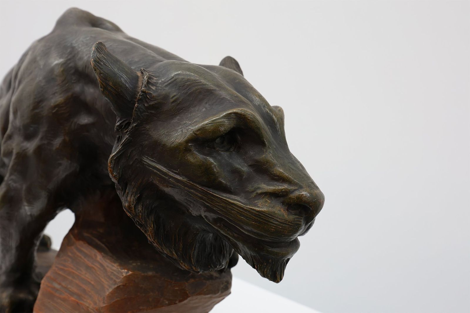 photo vinterior Large Terracotta Statue Of A Lion From Richard Aurili, Italy, 1890s