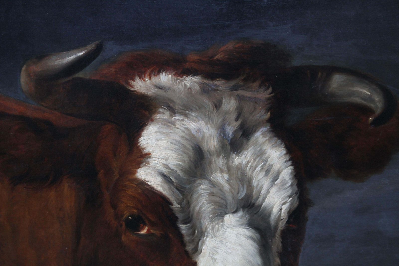 photo furniture Portrait Of A Bull   Dutch Old Master Art Animal Portrait Oil Paintingcirca 1650