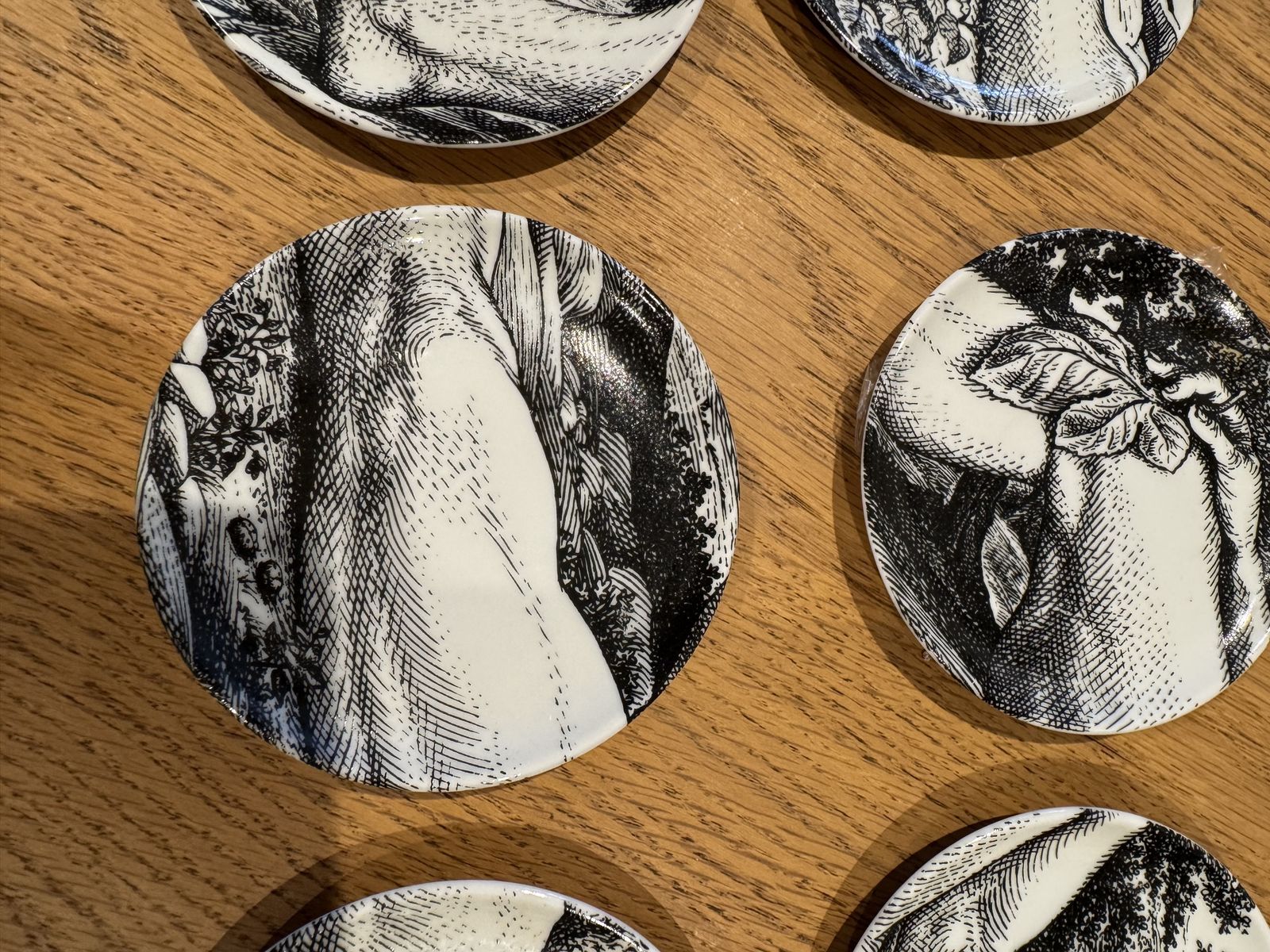 Pieri Fornasetti Adamo Porcelain Coasters Set Of 8 1980 Still Boxed And Unused photo Lighting