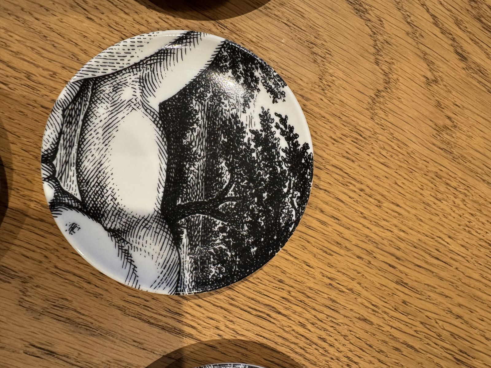 Pieri Fornasetti Adamo Porcelain Coasters Set Of 8 1980 Still Boxed And Unused photo vinterior