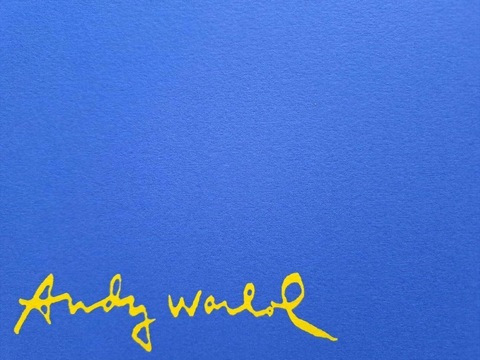 1980's Carnegie Museum Of Art Andy Warhol Mickey Mouse Lithograph Blue photo Art