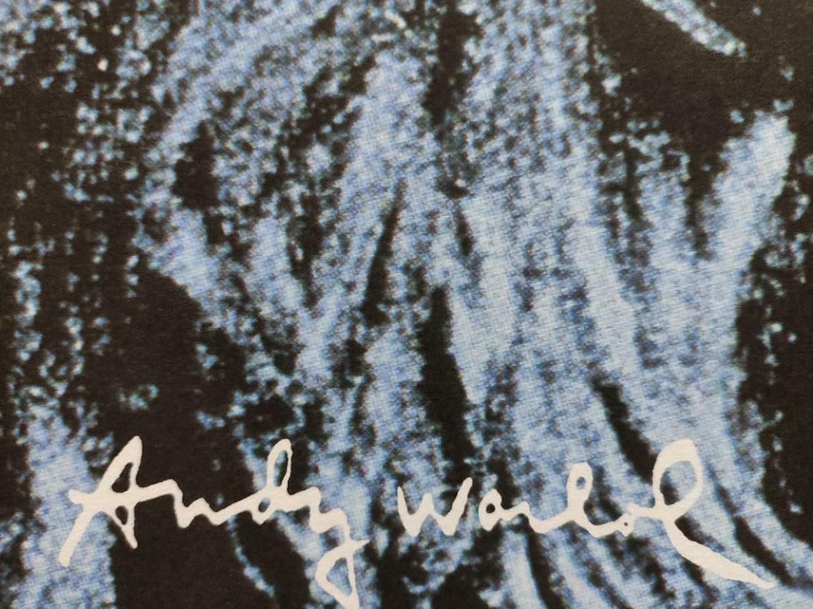1980's Carnegie Museum Of Art Andy Warhol Lithograph Debbie Harry photo Art