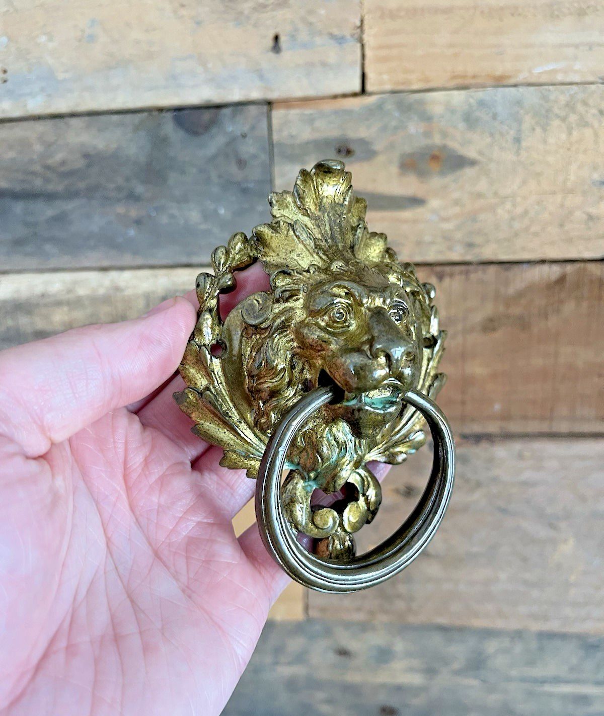Home Fixtures 1 Quality French Antique Lions Head Mask Gilt Brass Door Knocker Or Handle Pull photo