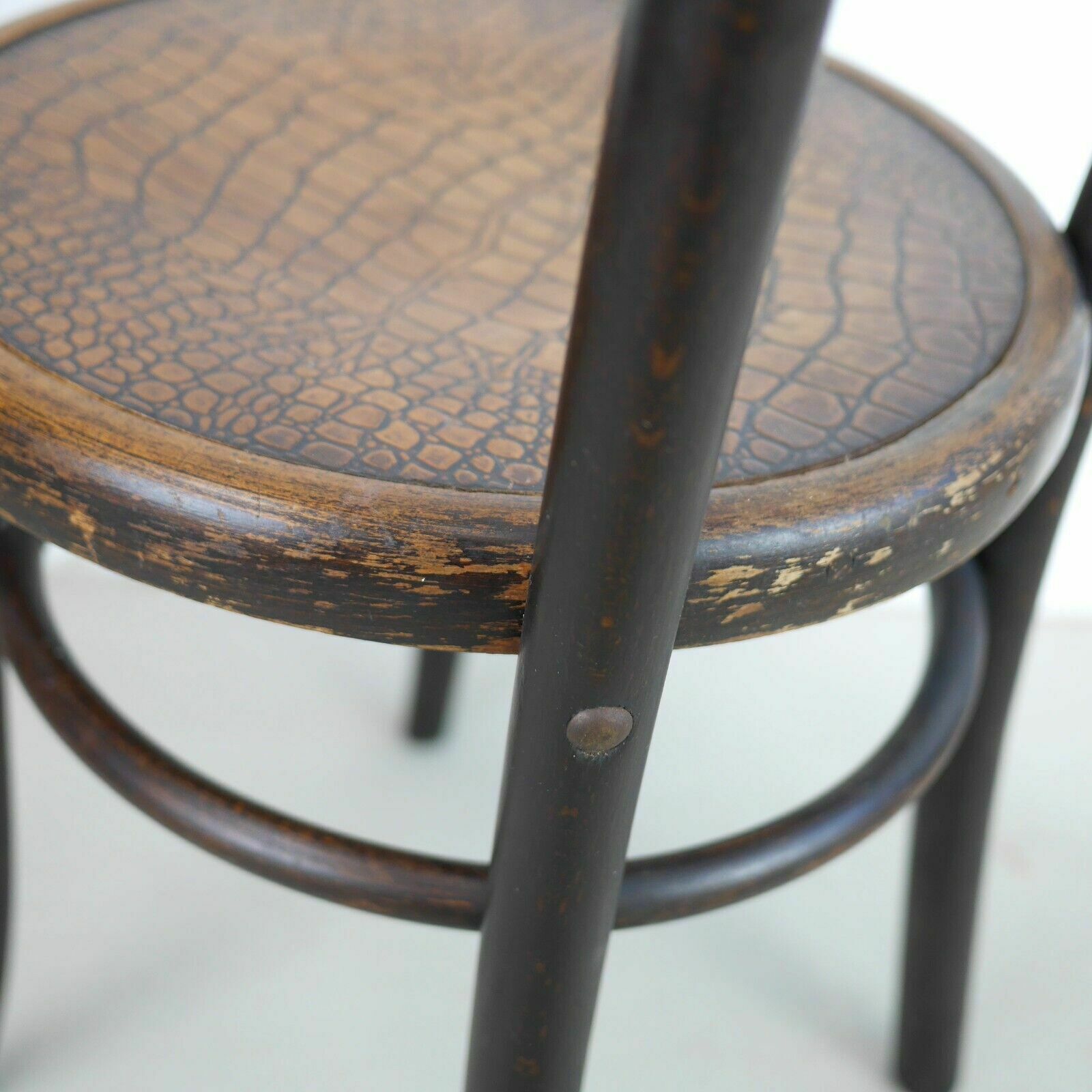 photo vintage Antique Crocodile Bentwood Embossed Chair Fischel Model 255 Thonet #102679