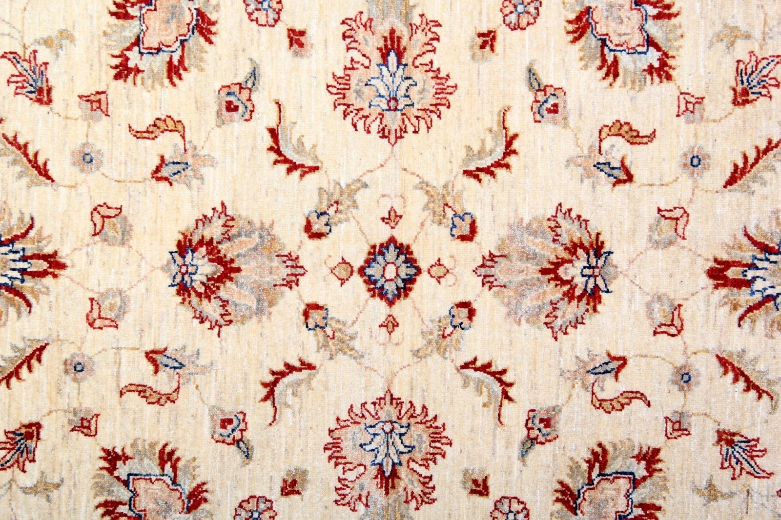 photo furniture Beige & Red Ziegler Floral Oriental Rug, Traditional All Over Design 165x195 Cm