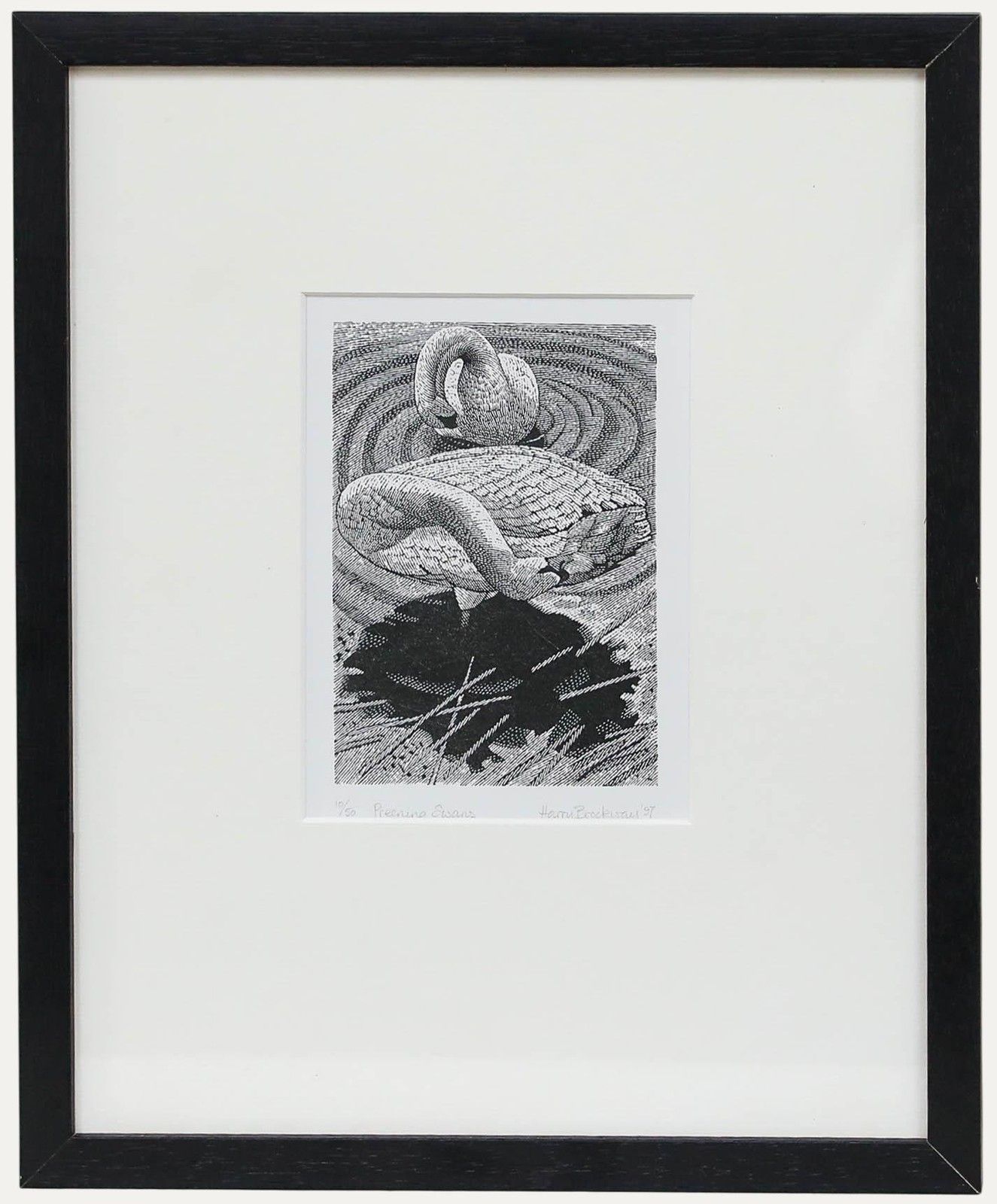 Harry Brockway (1958 2024) 1997 Wood Engraving, Preening Swans