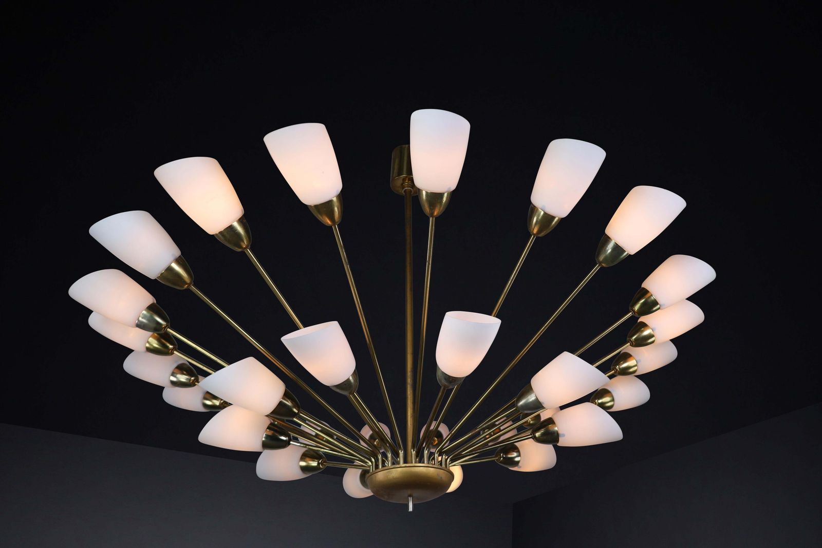 Large Midcentury Spider Form Sputnik Chandelier In Brass And  30 Opaline Shades photo 6764.0