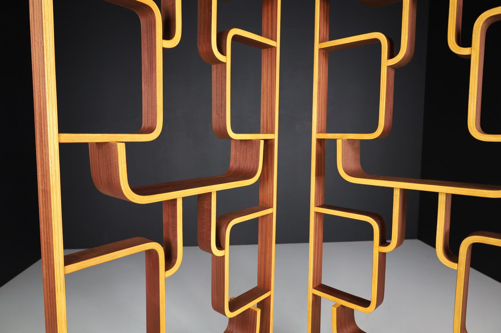 Mid 20th Century Room Dividers In Bent Wood By Ludvik Volak, Praque, 1960s photo vintage