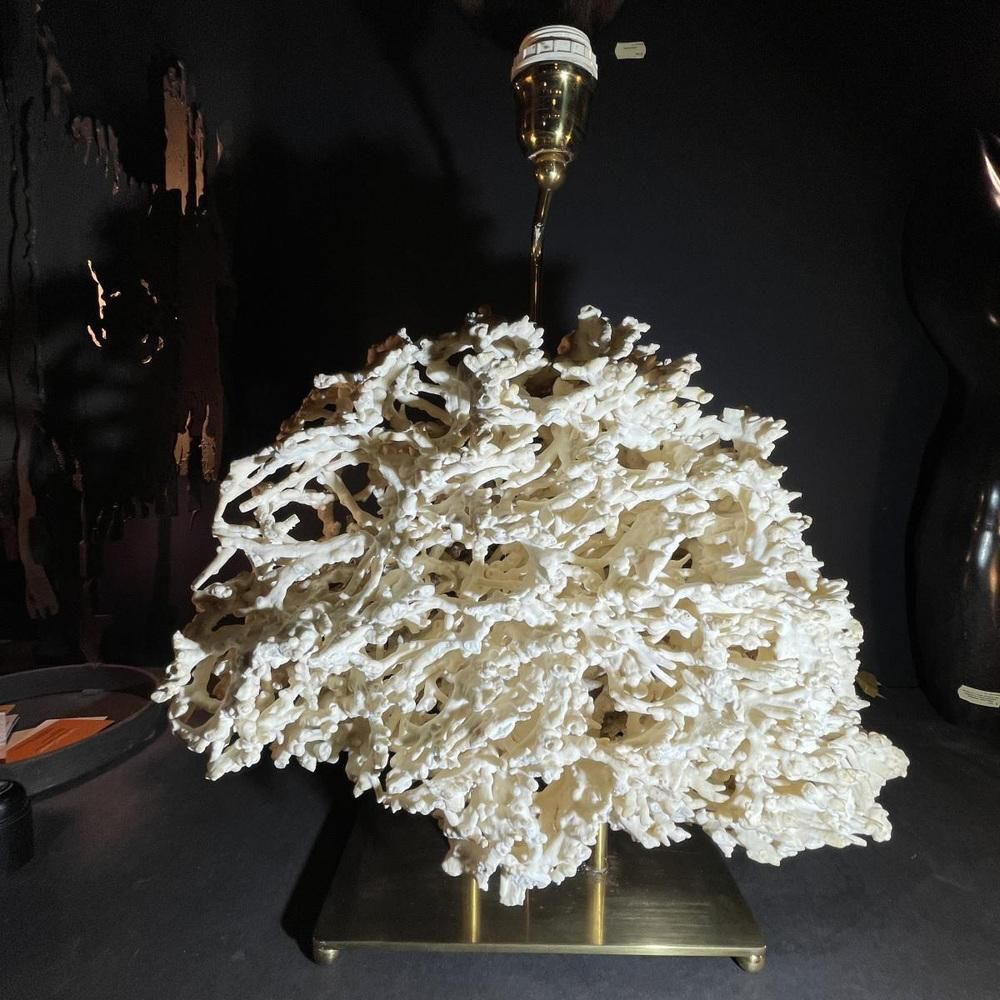 Hollywood Regency Coral Table Lamp In Gilded Bronze Base From Willy Daro 1970s photo vinterior