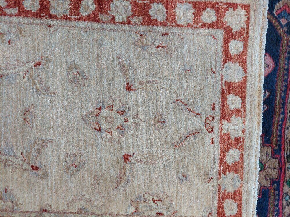 Afghan Saltanabad Cream Ground Runner photo for sale