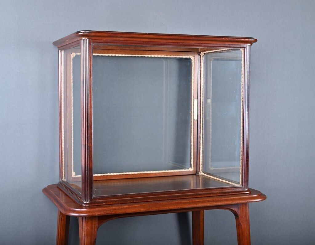 Mahogany Display Case, Art Nouveau – 1900 photo vinterior