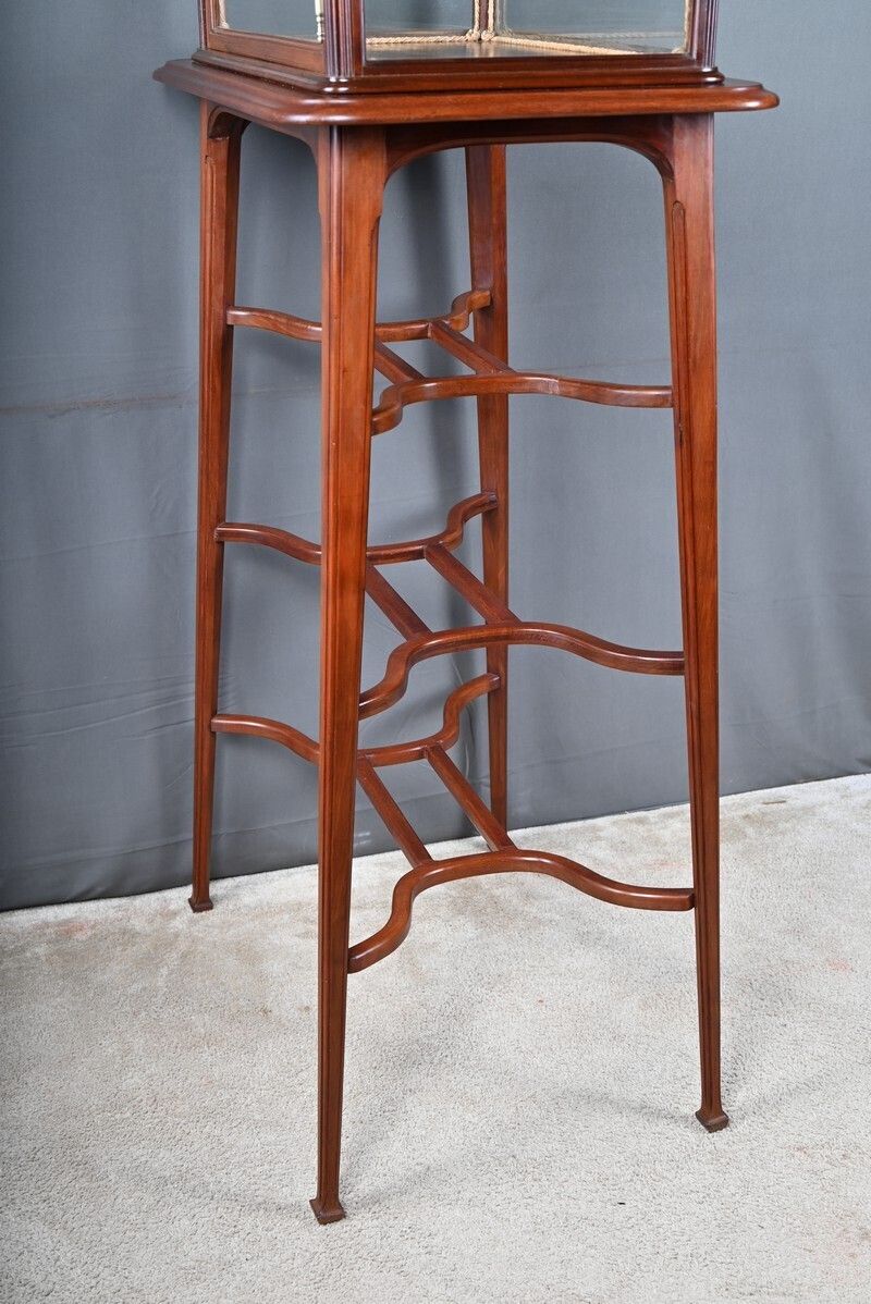 3840.0 Mahogany Display Case, Art Nouveau – 1900 photo