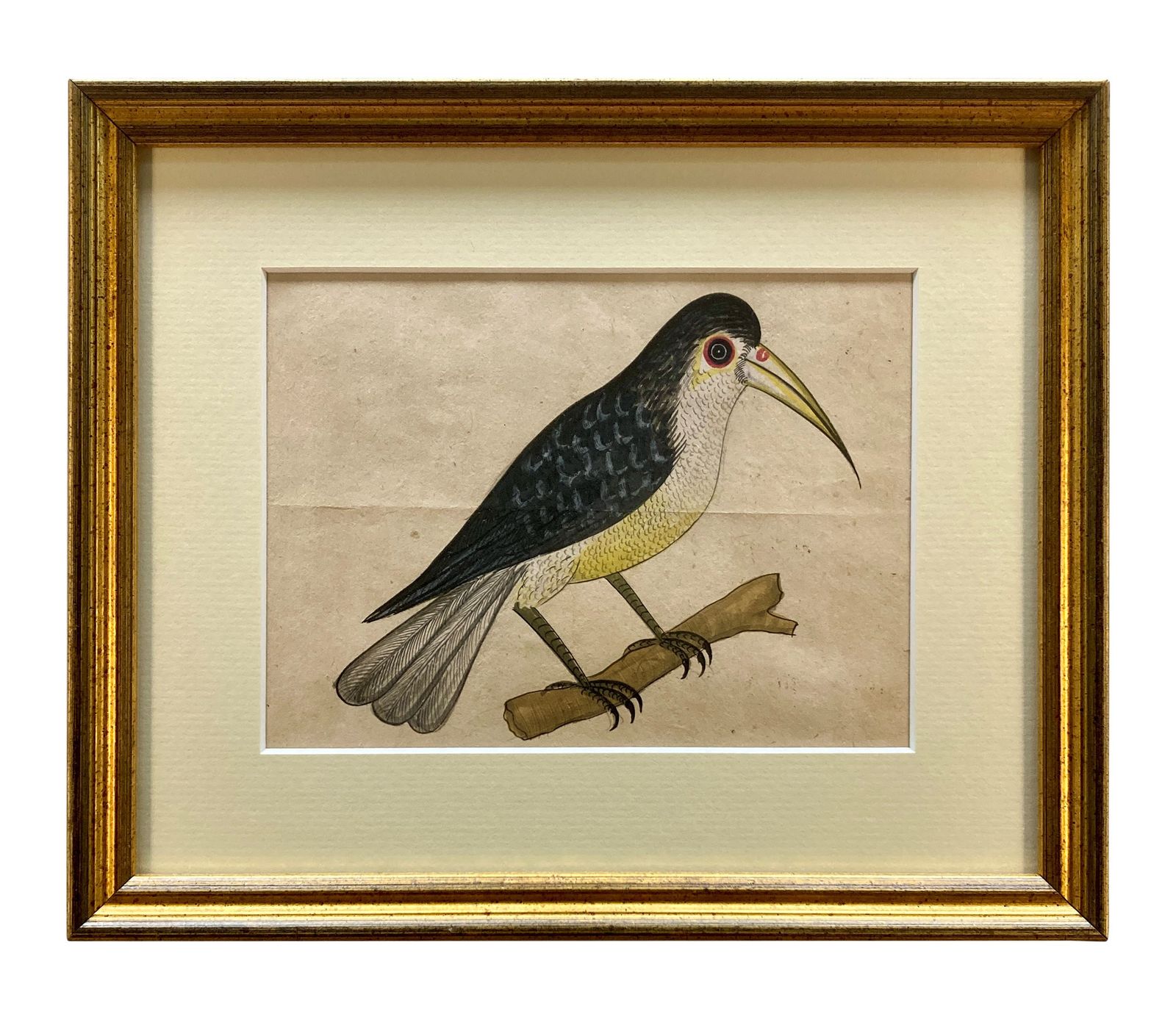 A Collection Of Eleven Early XIX Century Watercolours Of Indian Birds photo for sale
