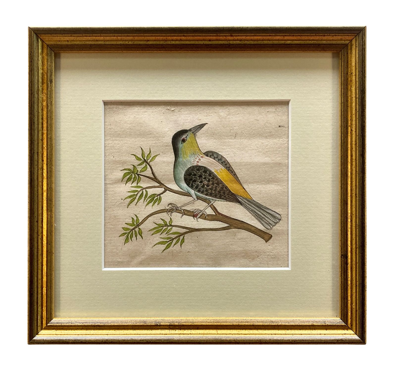 A Collection Of Eleven Early XIX Century Watercolours Of Indian Birds photo Art