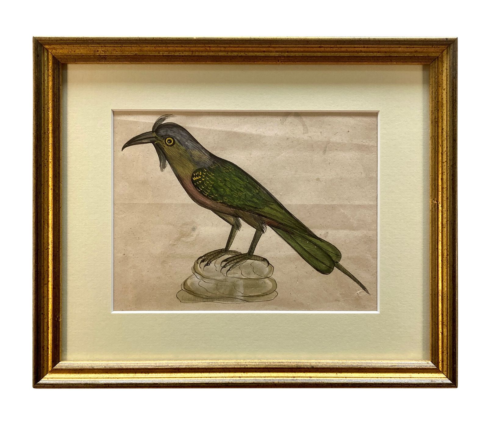 A Collection Of Eleven Early XIX Century Watercolours Of Indian Birds photo vinterior