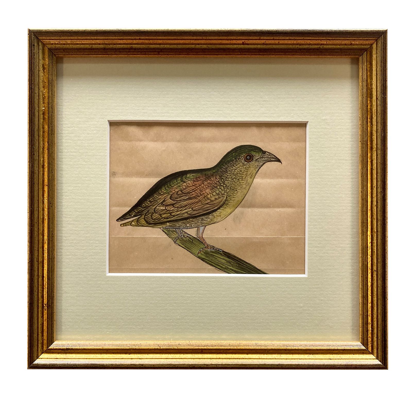 photo for sale A Collection Of Eleven Early XIX Century Watercolours Of Indian Birds