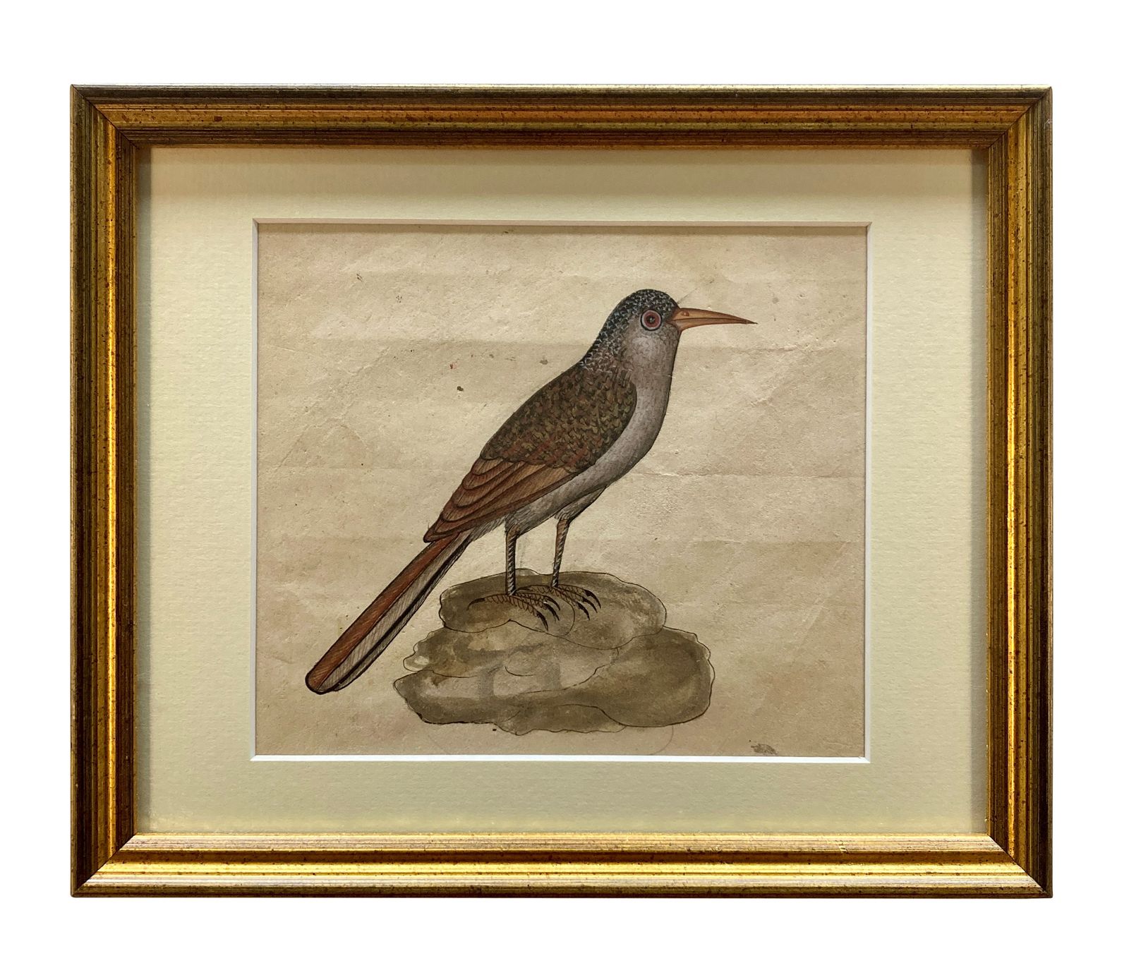 Art A Collection Of Eleven Early XIX Century Watercolours Of Indian Birds photo