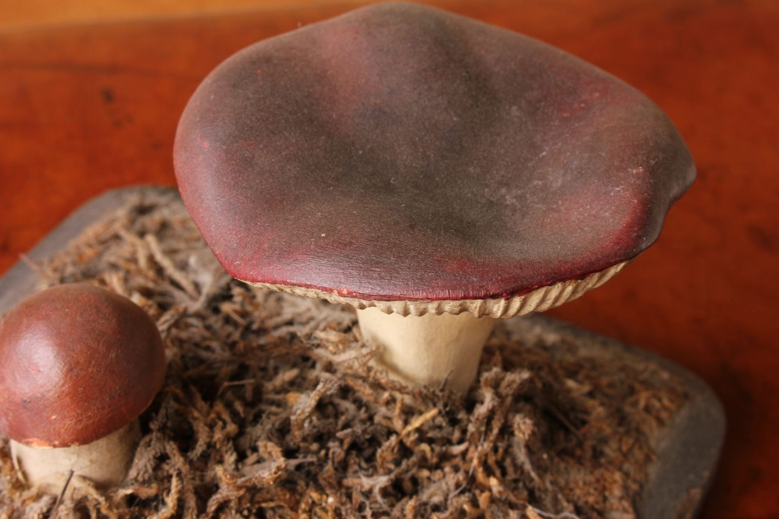 365.0 Antique Mushroom Model Teaching Aid. Holubinka Revovita. Collectible. photo