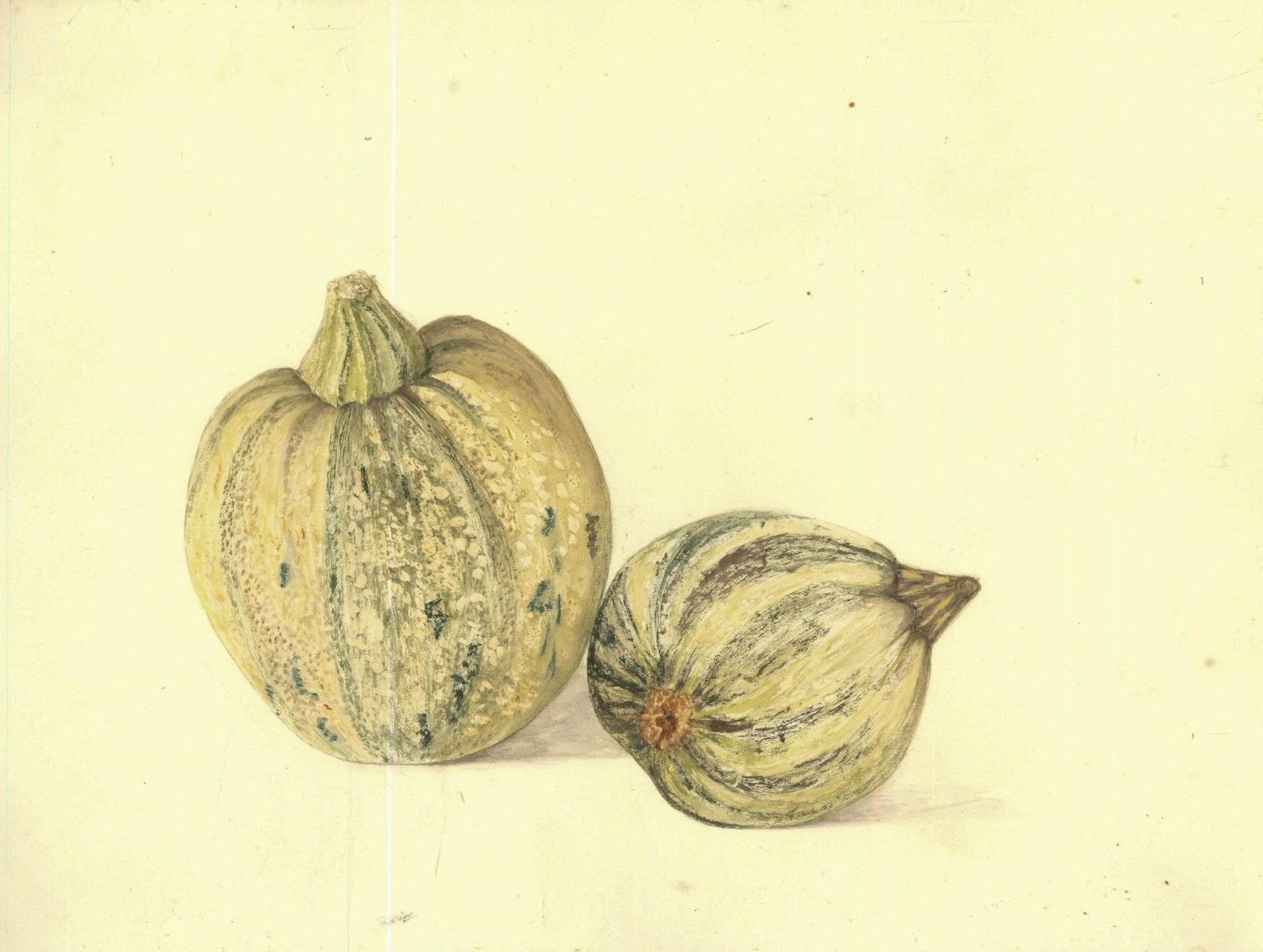Kathleen Moyra Bellis 20th Century Watercolour, Gourds photo furniture