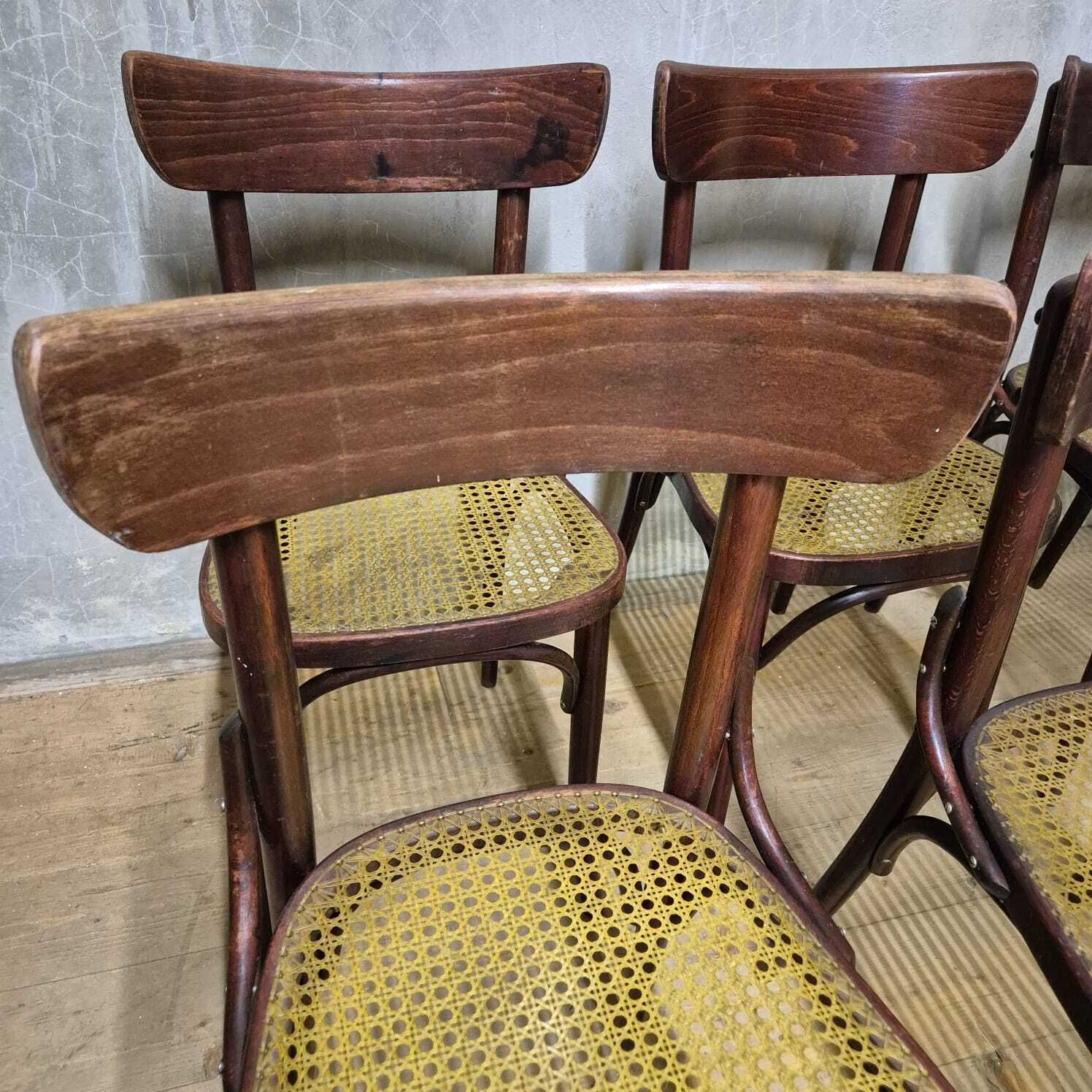 Set Of 6 Dining Chairs, Thonet Style, 1960s, Czechoslovakia photo furniture