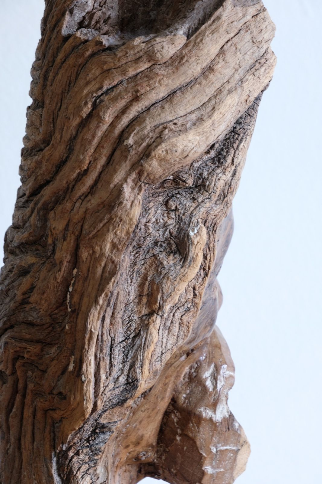 photo vintage Makonde Root Wood Bust – Tribal Elder Portrait Sculpture