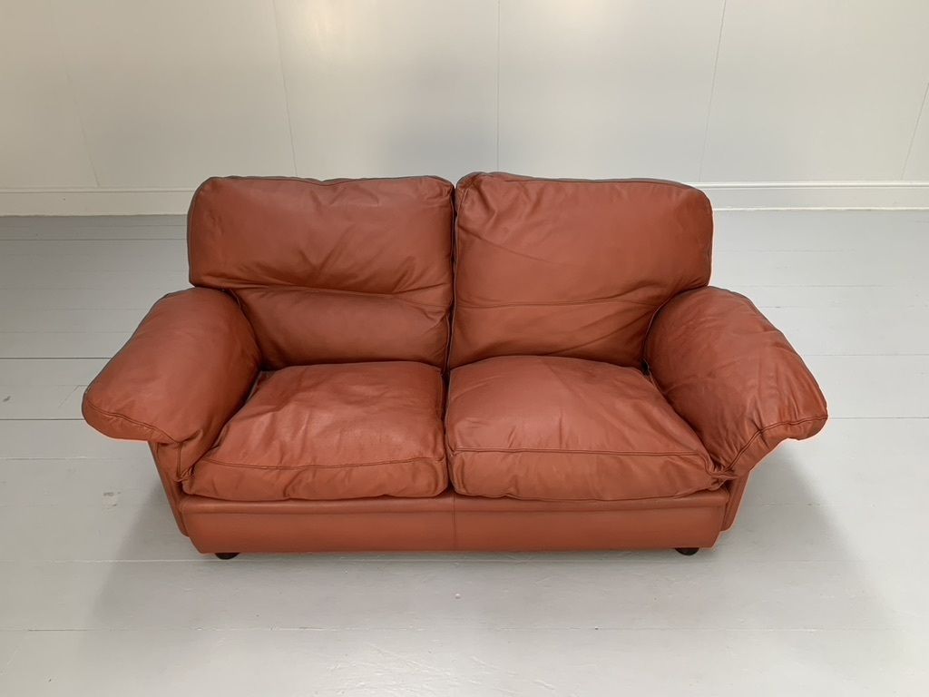 Poltrona Frau “Poppy” 2 Seat Sofa & Armchair – In Buffalo Leather photo vintage