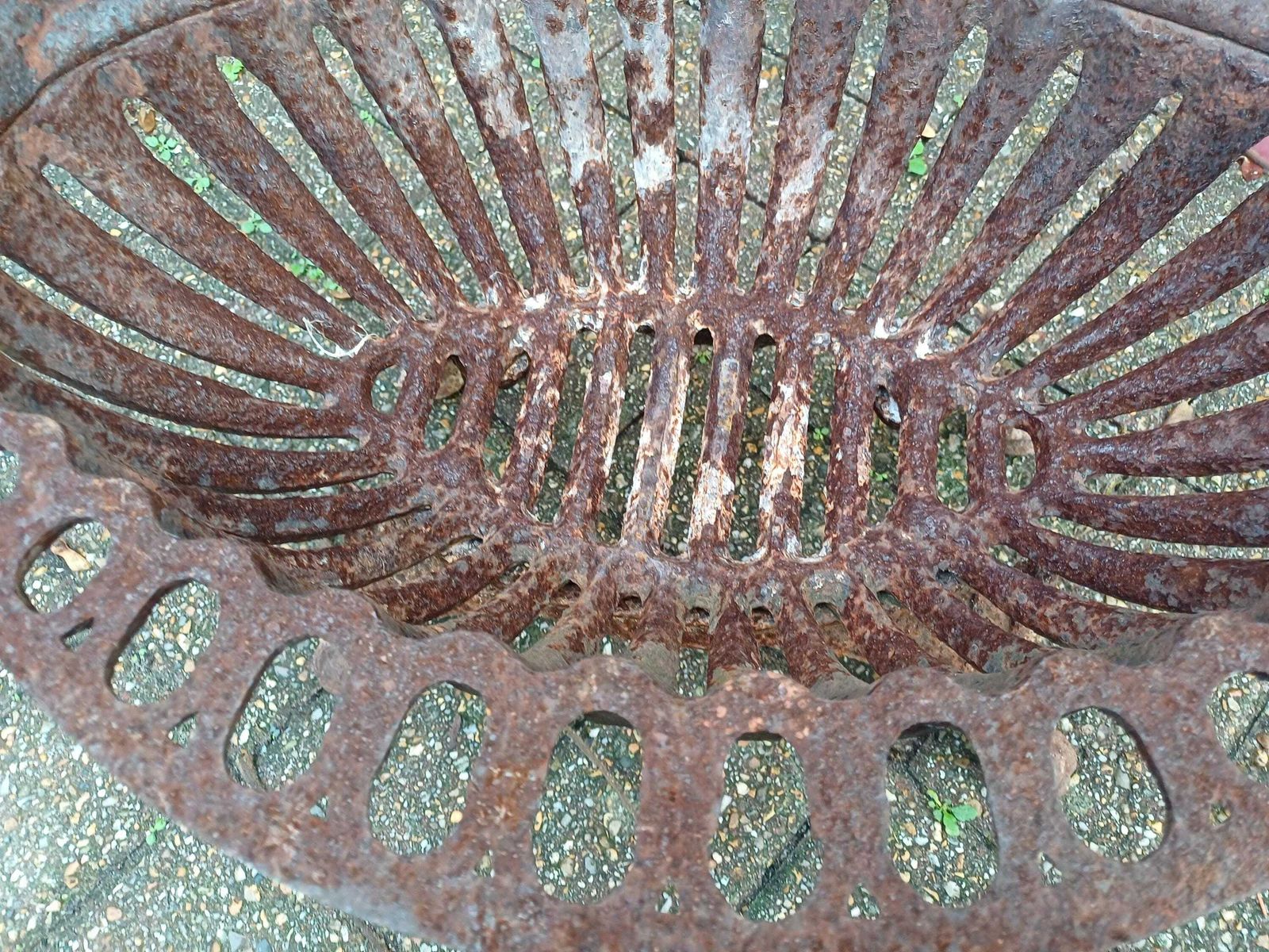Antique Victorian Cast Iron Fire Grate Basket Heavy Salvage Fireplace Insert Rustic Garden Feature 19thc Coal Basket photo 350.0
