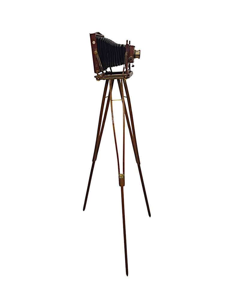 A Very Fine Circa 1900 Double Racked Focus Half Plate Camera On Oak Tripod By Benetfink And Co, Cheapside London photo for sale
