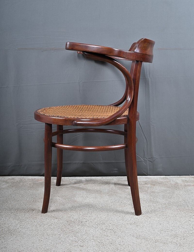 photo vinterior Armchair In Bent Beechwood, Maison Baumann – Early 20th Century